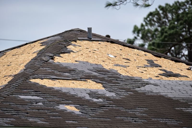 Complete Shingle Replacement