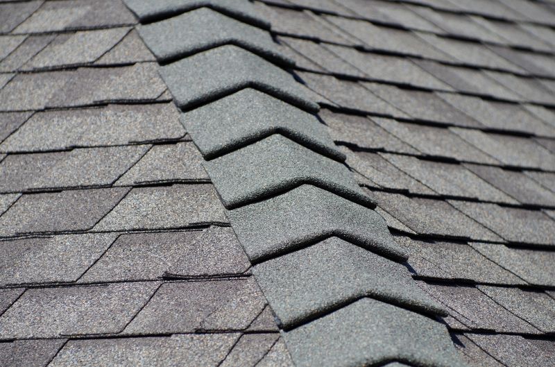 Summer Roofing Projects